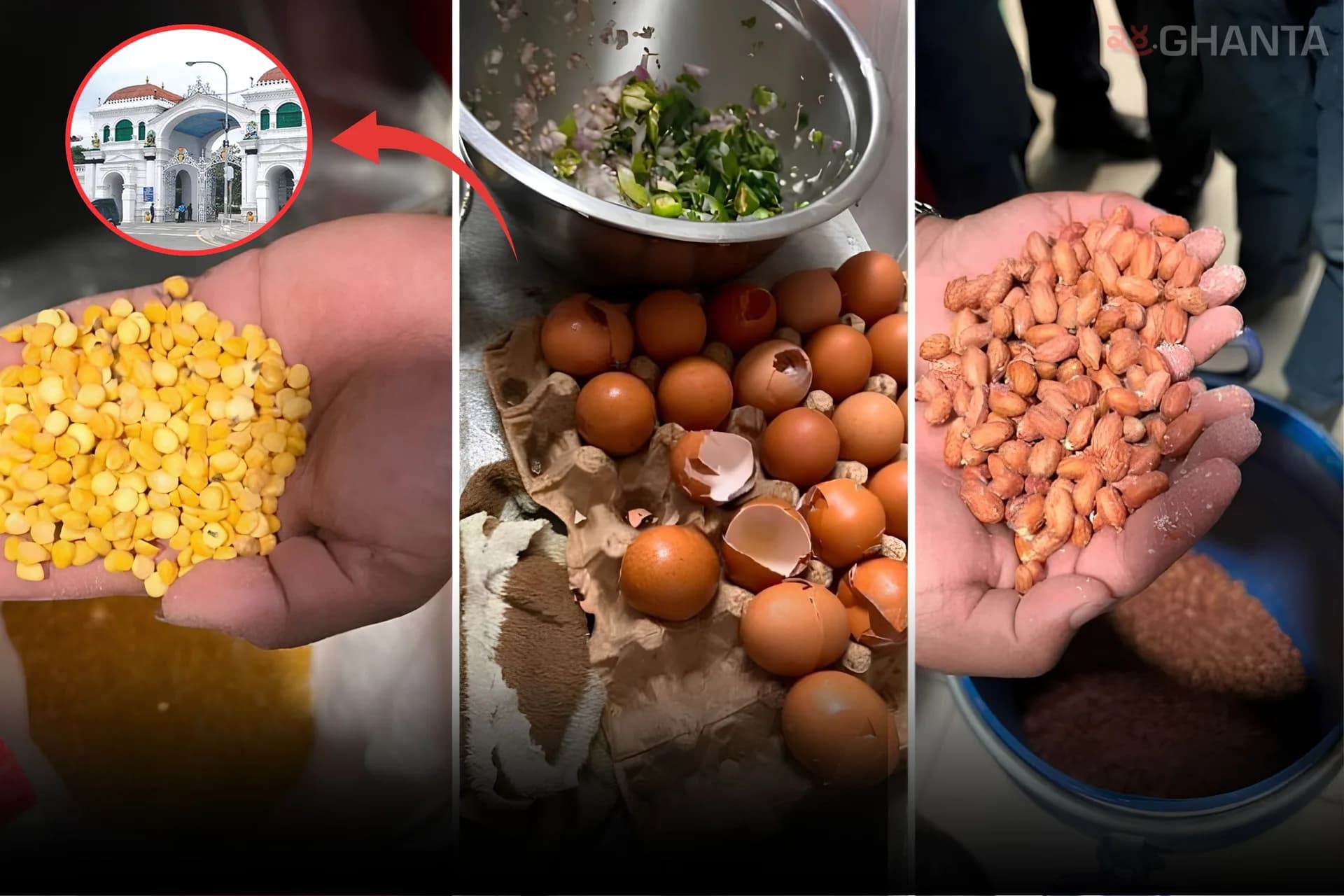 Food Concerns in Singha Durbar