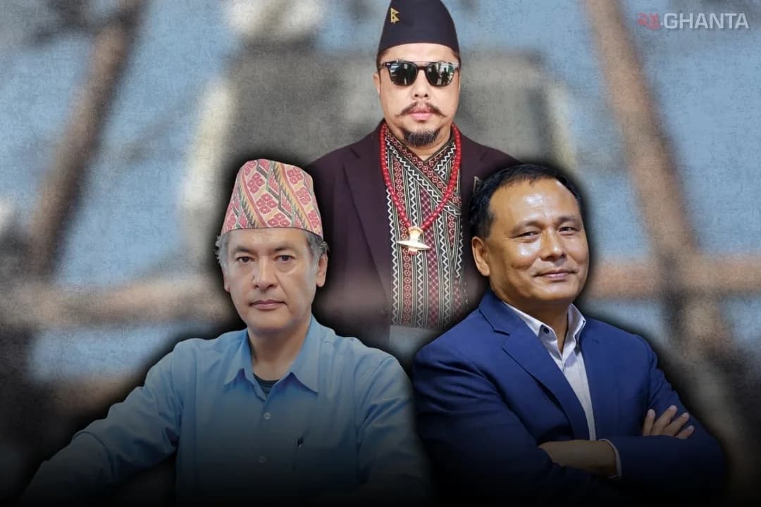 Nepal Electricity Authority (NEA) has established a high-level investigation committee 