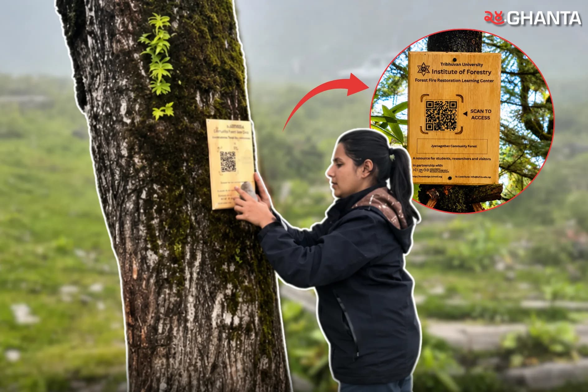 Burned Forest Becomes Digital Learning Library
